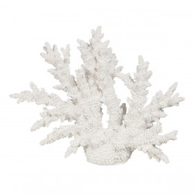 Statua Decorativa Bianco Resina Corallo 34 X 13 X 27 CM