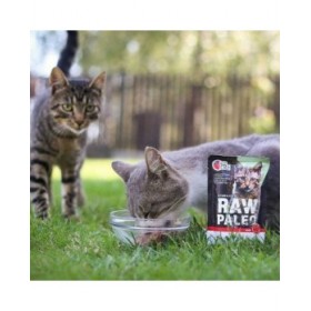 Cibo per gatti VETEXPERT Adult Cat Carne di manzo e vitello 100 g