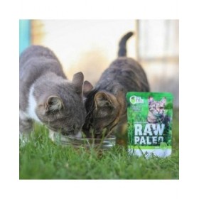 Cibo per gatti VETEXPERT Adult Cat 100 g