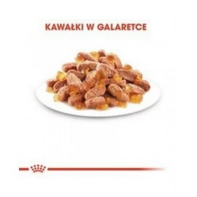 Cibo per gatti Royal Canin Kitten Jelly Pollo 85 g
