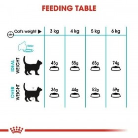Cibo per gatti Royal Canin Urinary Care Adulto Pollo Uccelli 2 Kg