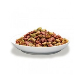 mangime Prevital Pollo 1,4 Kg