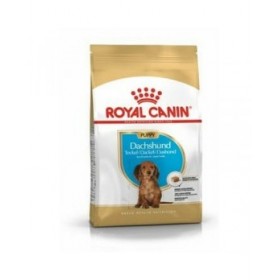 mangime Royal Canin Breed Dachshund Jun Cucciolo/Junior Riso Vegetale Uccelli 1,5 Kg