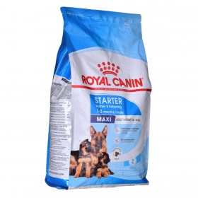 mangime Royal Canin Maxi Starter Mother & Babydo Uccelli 4 Kg