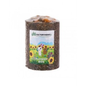Mangime per Conigli Factoryherbs Flower Box Cincillà Tartaruga Roditori Parrocchetto ondulato Canarino Uccelli