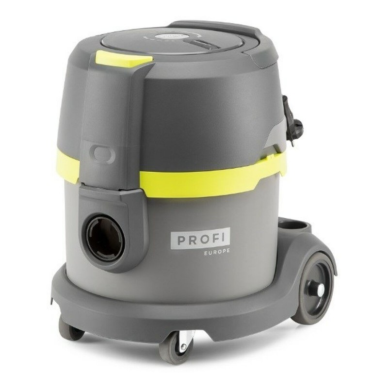 Aspirapolvere con Sacchetto Master Profi P6 Giallo Grigio 1040 W