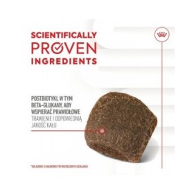 Snack per Cani Royal Canin Supplements Dog Digestion Adult 160 g