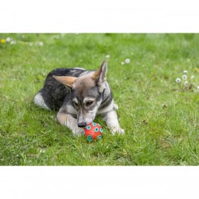 Giocattolo da mordere per cani Kerbl Rosso Verde Caucciù