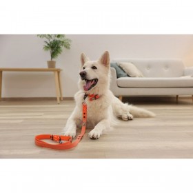 Guinzaglio per Cani Kerbl 80104 Nero Stampa