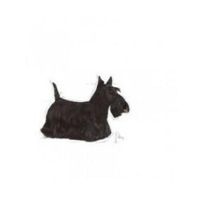 mangime Royal Canin Mini Dermacomfort Adulto Pollo Carne di vitello Vegetale 3 Kg