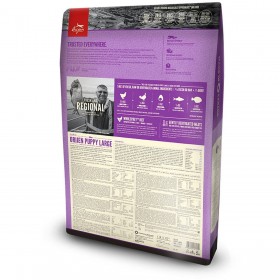 mangime Orijen Puppy Large Cucciolo/Junior Pollo Tacchino Pesce 6 Kg