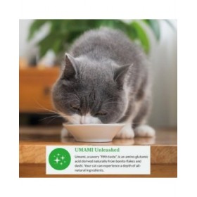 Spuntino per Cat Inaba Dashi Delights Pollo 70 g