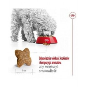 mangime Royal Canin Adult Mini S Uccelli 2 Kg