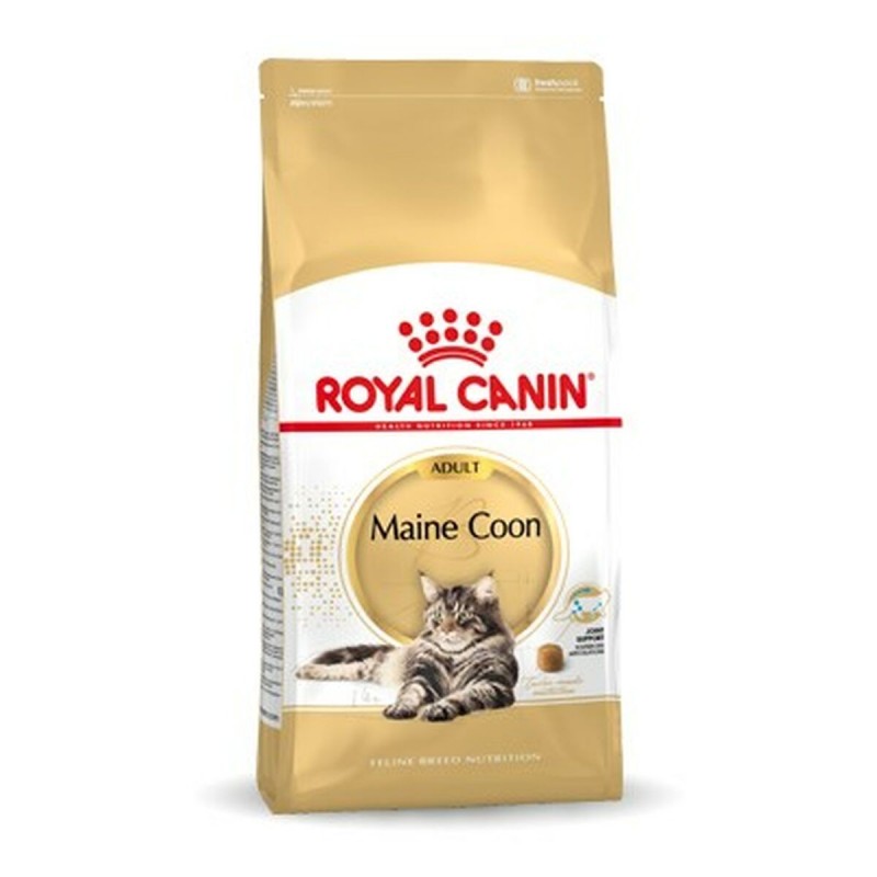 Cibo per gatti Royal Canin Maine Coon Adult + 1 Anno Adulto Uccelli 10 kg
