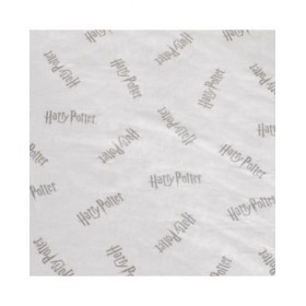 Lenzuolo con angoli Harry Potter Bianco Grigio Singolo