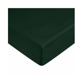 Lenzuolo con angoli Harry Potter Verde
