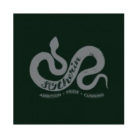 Piumino Harry Potter Slytherin Multicolore 250 x 4 x 270 cm Matrimoniale