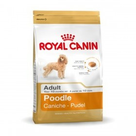 mangime Royal Canin Poodle Adult Adulto Pollo 1,5 Kg