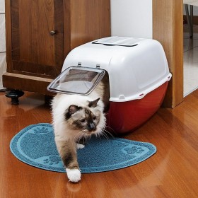 Lettiera per Gatti Ferplast Azzurro Plastica 39,5 x 52,5 x 38 cm