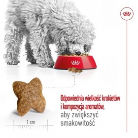 mangime Royal Canin Adult Mini S Uccelli 4 Kg