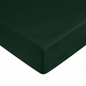Lenzuolo con angoli Harry Potter Verde