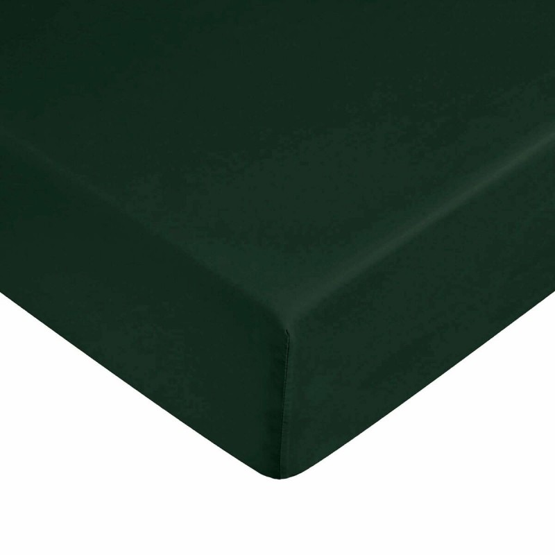 Lenzuolo con angoli Harry Potter Verde