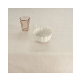 Tovaglia antimacchia Belum Liso Grigio chiaro 250 x 150 cm