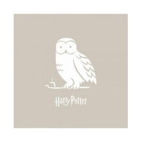 Copripiumino Harry Potter Magical Hedwig Multicolore 175 Fili 140 x 200 cm Singolo