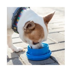Guinzaglio Retrattile per Cani 6 in 1 Compet InnovaGoods