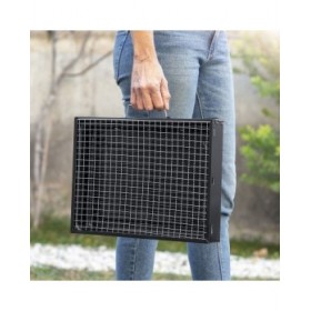 Barbecue Pieghevole Portatile a Carbone BearBQ InnovaGoods