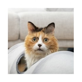 Tunnel Pieghevole per Animali Domestici Funnyl InnovaGoods