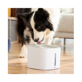 Fontana per Animali Domestici Drinkatt InnovaGoods