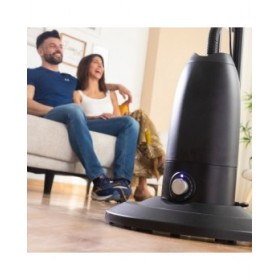 Ventilatore Nebulizzatore da Terra con Telecomando InnovaGoods Mistinn Nero 90 W 2,8 L