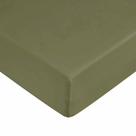 Lenzuolo con angoli aderenti Decolores Liso Verde Ala francese