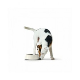 Ciotola per cani Hunter Bianco Melammina 1,4 L (Ricondizionati A)