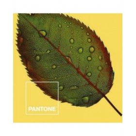 Copripiumino Nature Pantone