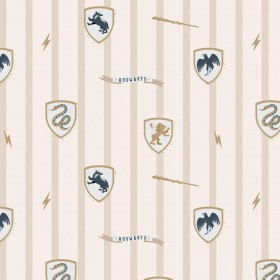 Tovaglia in resina antimacchia Harry Potter Multicolore 300 x 150 cm