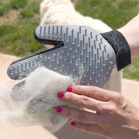 Guanto per Pettinare e Massaggiare Animali Domestici Relpet InnovaGoods