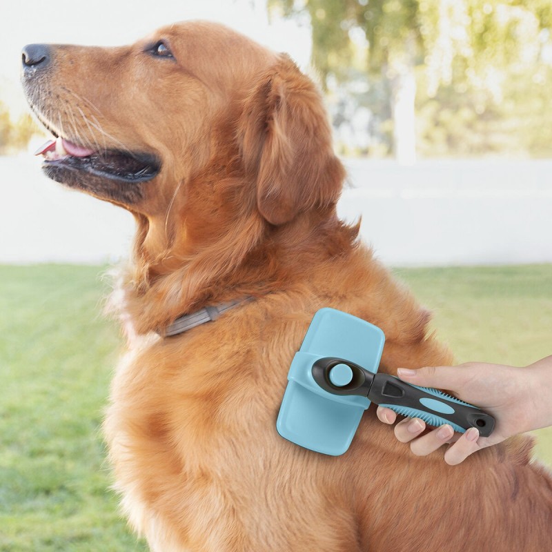 Spazzola di Pulizia con Denti Retrattili per Animali Domestici Groombot InnovaGoods