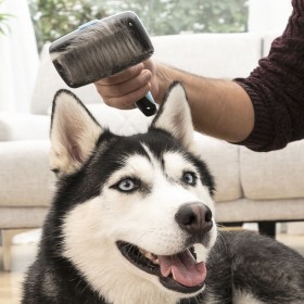 Spazzola di Pulizia con Denti Retrattili per Animali Domestici Groombot InnovaGoods