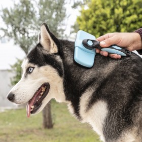 Spazzola di Pulizia con Denti Retrattili per Animali Domestici Groombot InnovaGoods