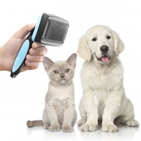 Spazzola di Pulizia con Denti Retrattili per Animali Domestici Groombot InnovaGoods