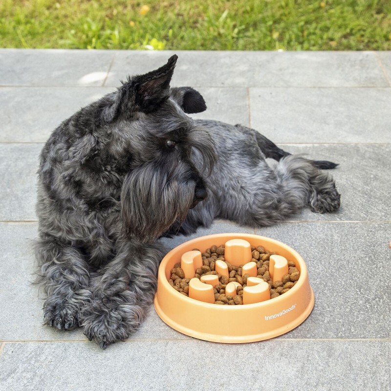 Ciotola ad Alimentazione Lenta per Animali Domestici Slowfi InnovaGoods
