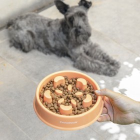 Ciotola ad Alimentazione Lenta per Animali Domestici Slowfi InnovaGoods
