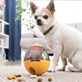 Giocattolo Dispenser Premi per Animali Domestici 2 in 1 Petyt InnovaGoods