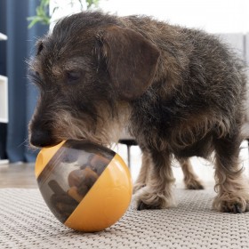 Giocattolo Dispenser Premi per Animali Domestici 2 in 1 Petyt InnovaGoods