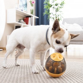 Giocattolo Dispenser Premi per Animali Domestici 2 in 1 Petyt InnovaGoods