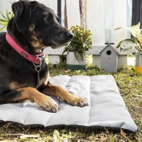 Letto Portatile Impermeabile per Animali Domestici Huismat InnovaGoods