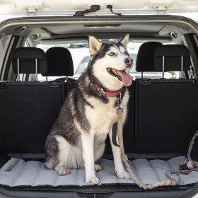 Letto Portatile Impermeabile per Animali Domestici Huismat InnovaGoods