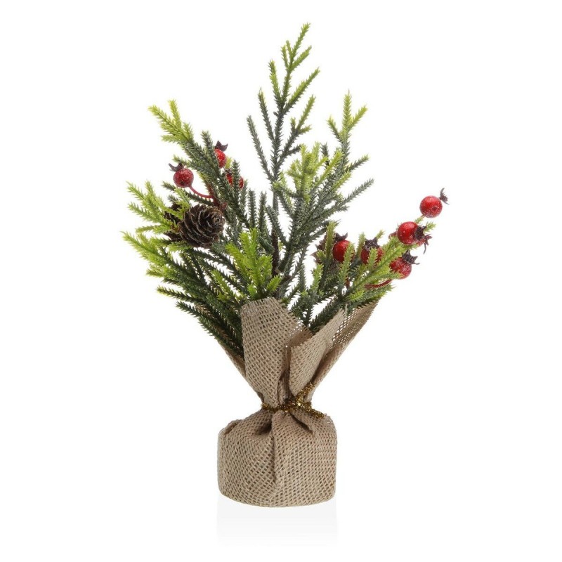 Pianta Decorativa Versa Plastica